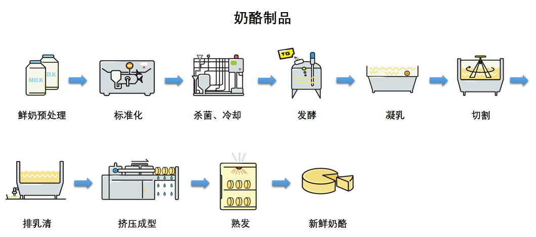 蓝纹奶酪制作过程图片