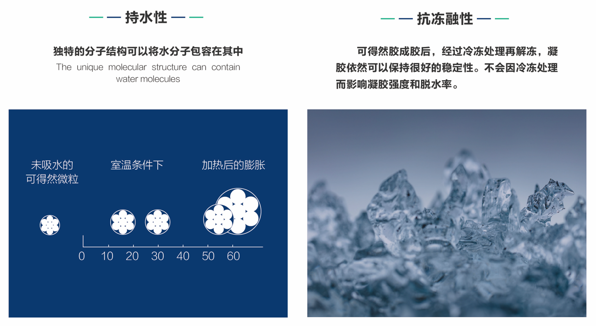 可得然胶--持水性 抗冻融性.png